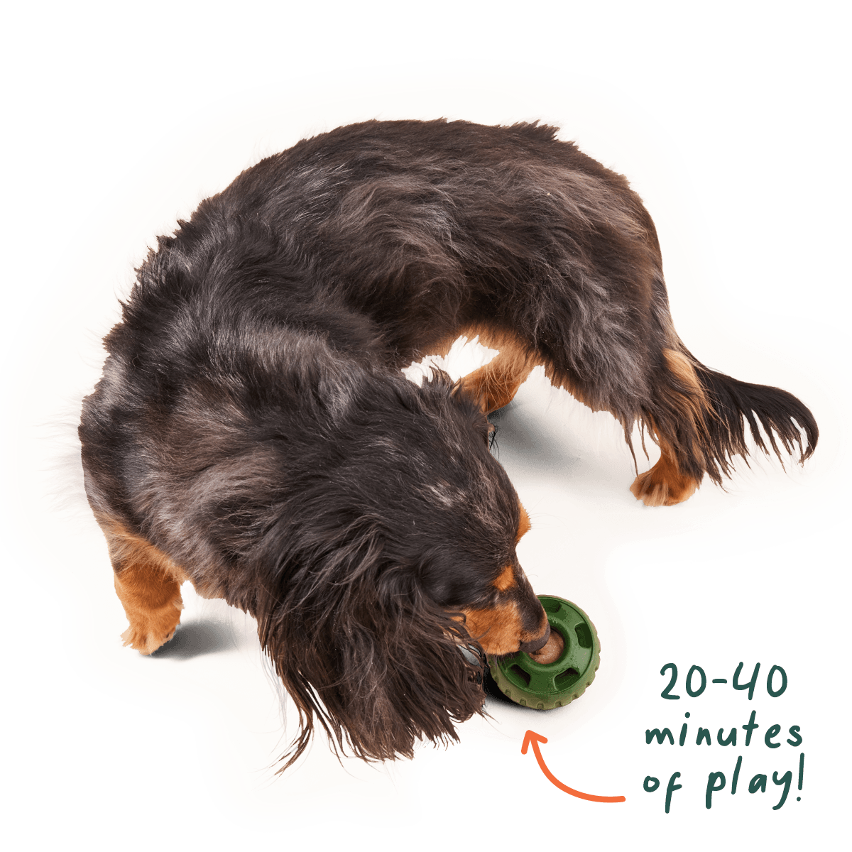 Woof Pet | Calming Vitamin Pops