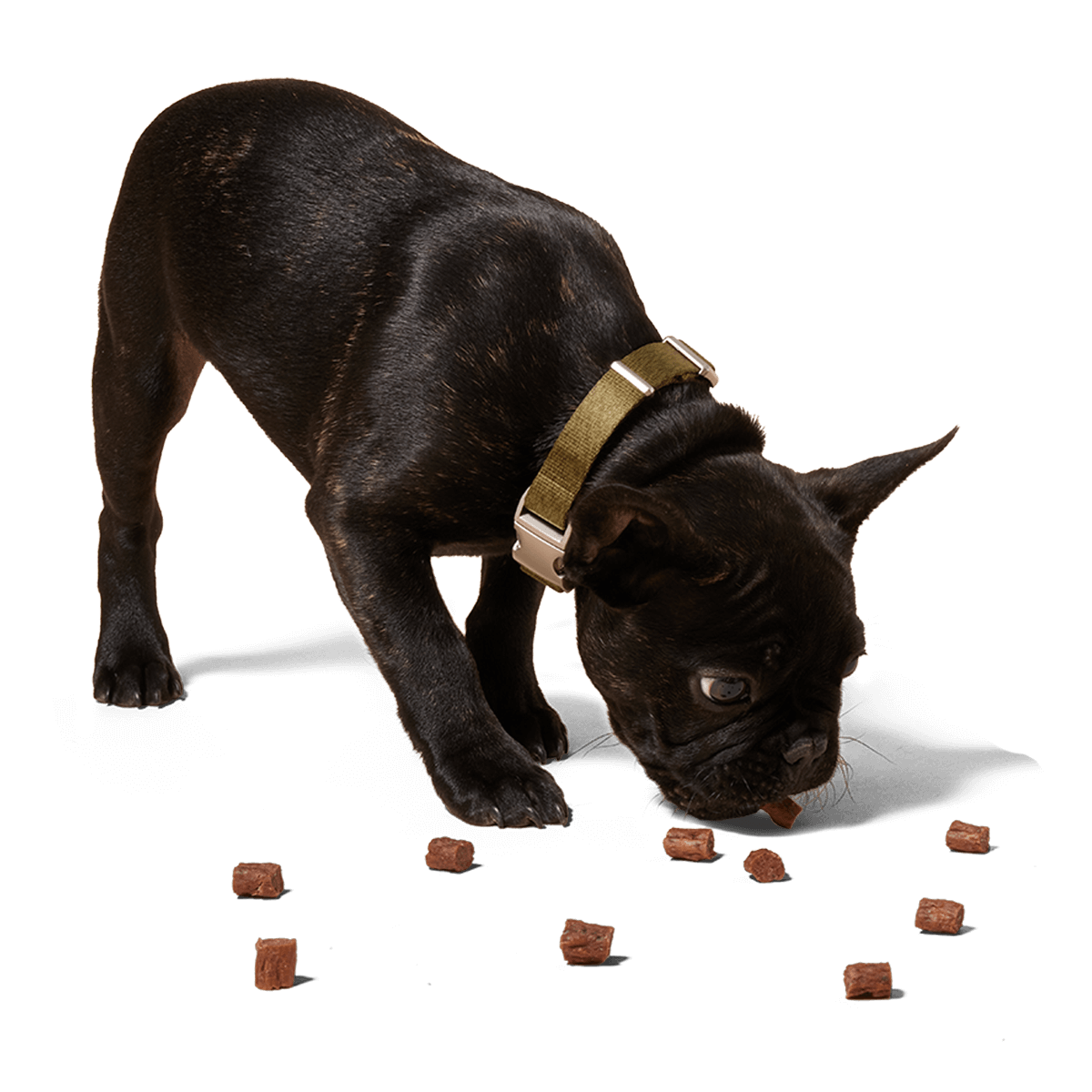 Woof Pet Love Nuggets *