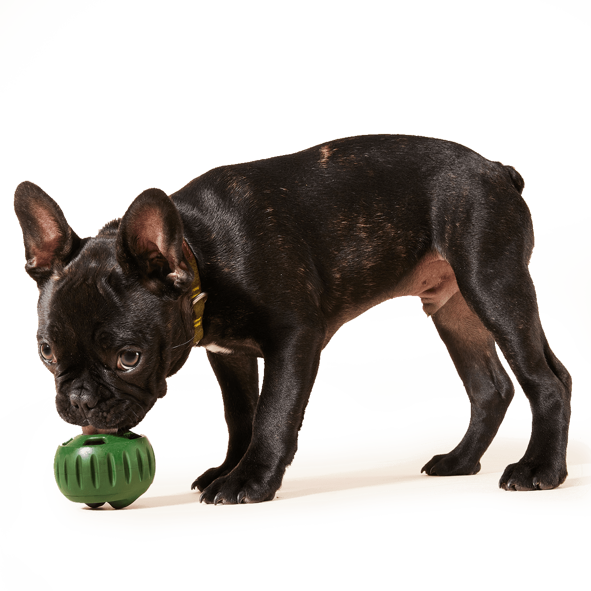 Woof Pet | Pupsicle Pops, Chicken