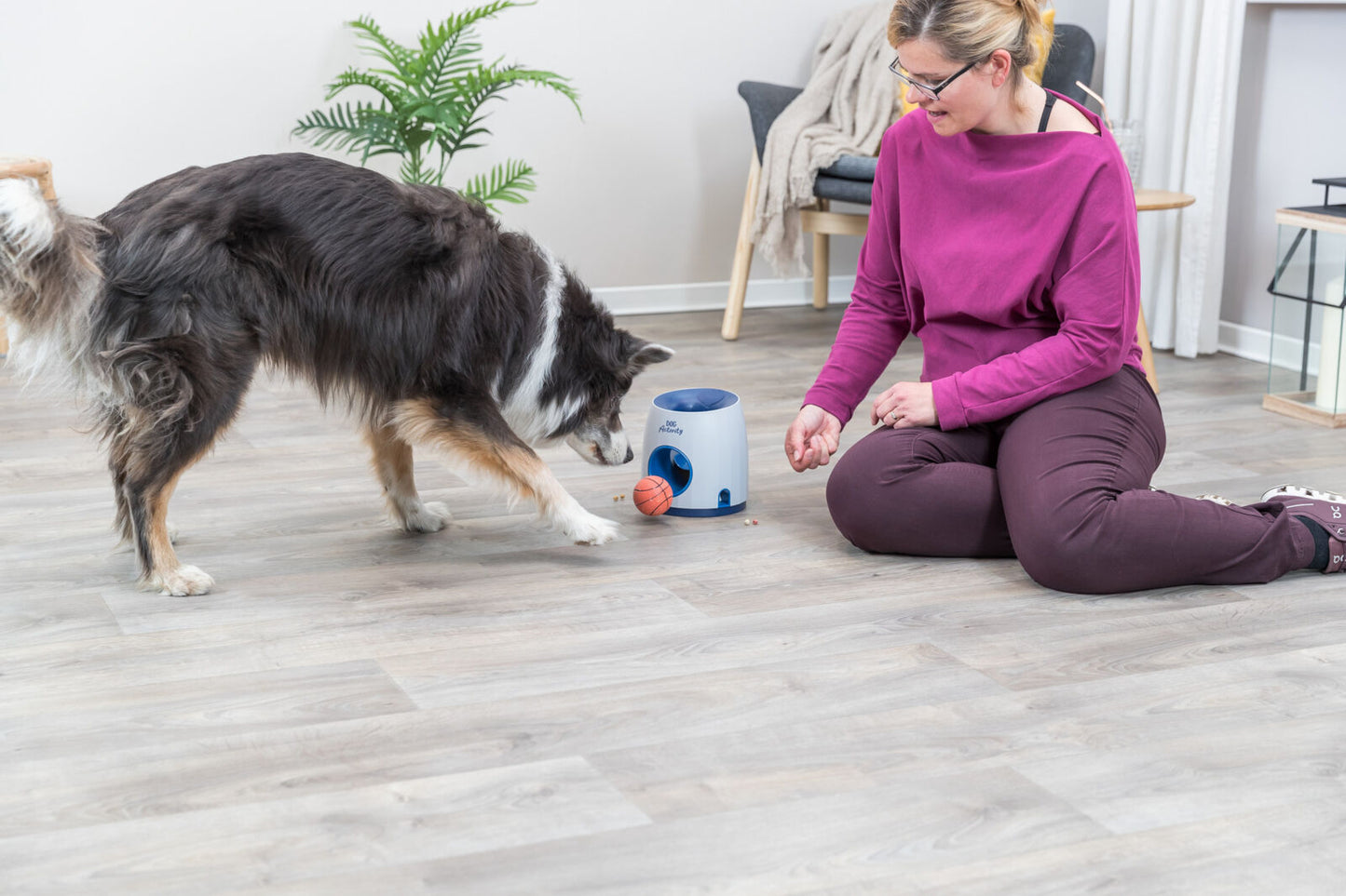 Strategy Game Ball & Treat