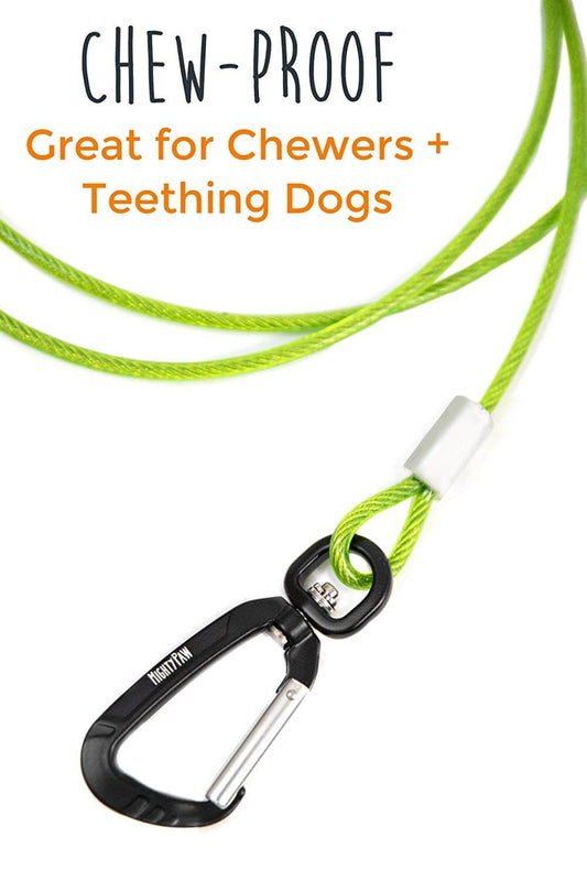 6" Chew Proof Cable Leash
