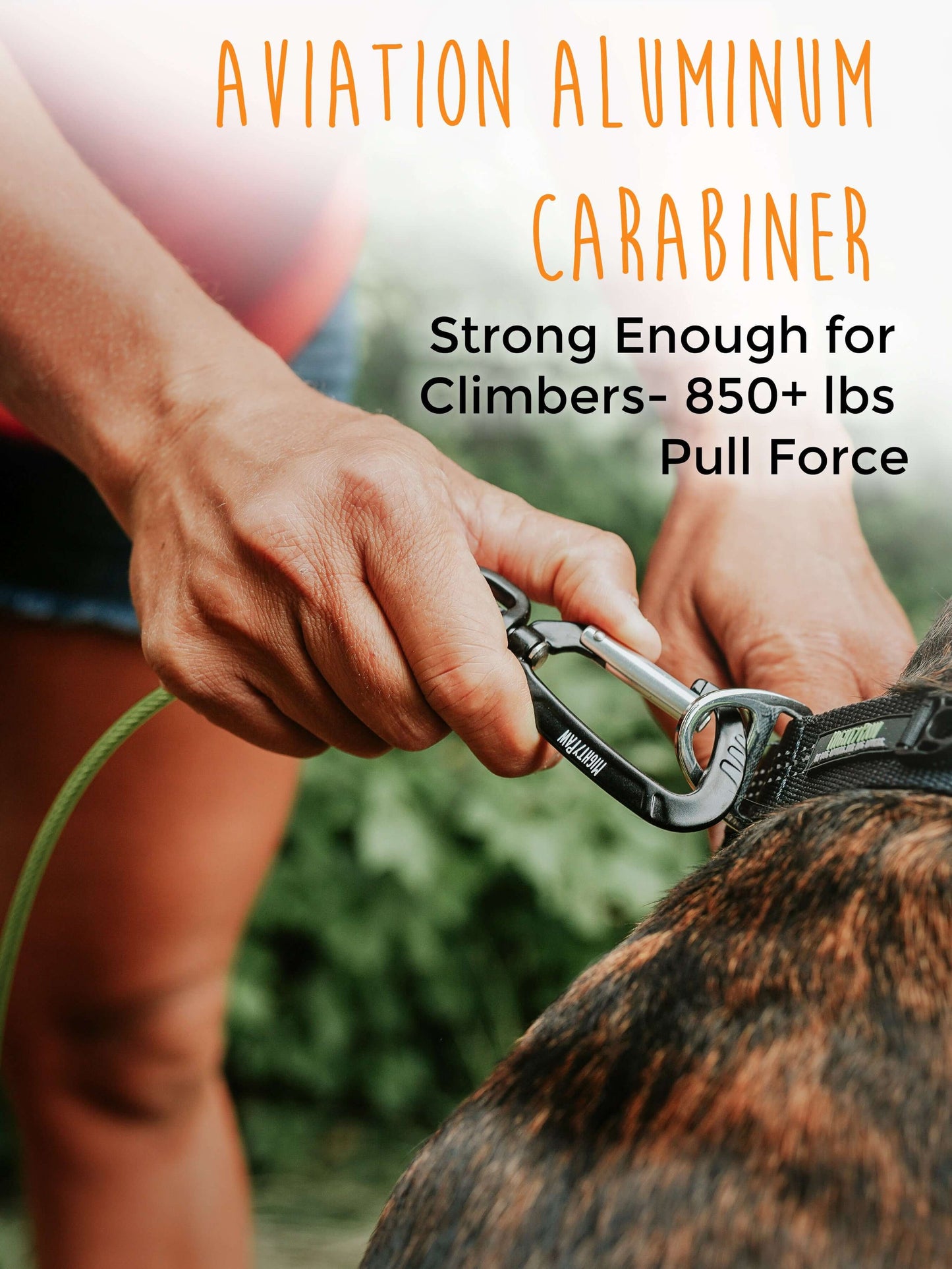 6" Chew Proof Cable Leash