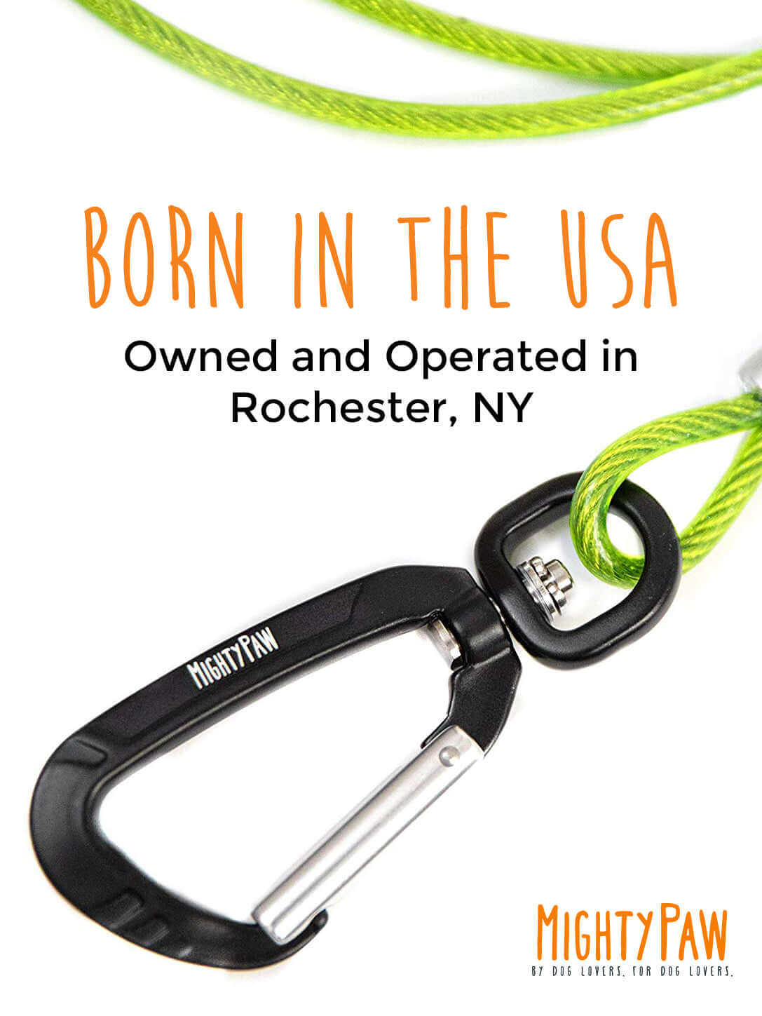 6" Chew Proof Cable Leash