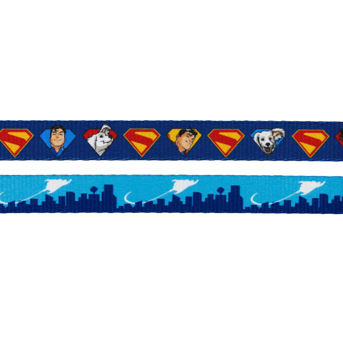 Dog Leash - Superman™ & Krypto™