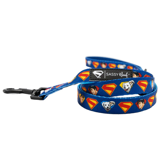 Dog Leash - Superman™ & Krypto™