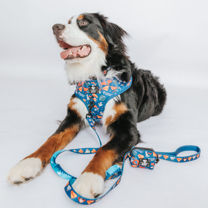 Dog Leash - Superman™ & Krypto™