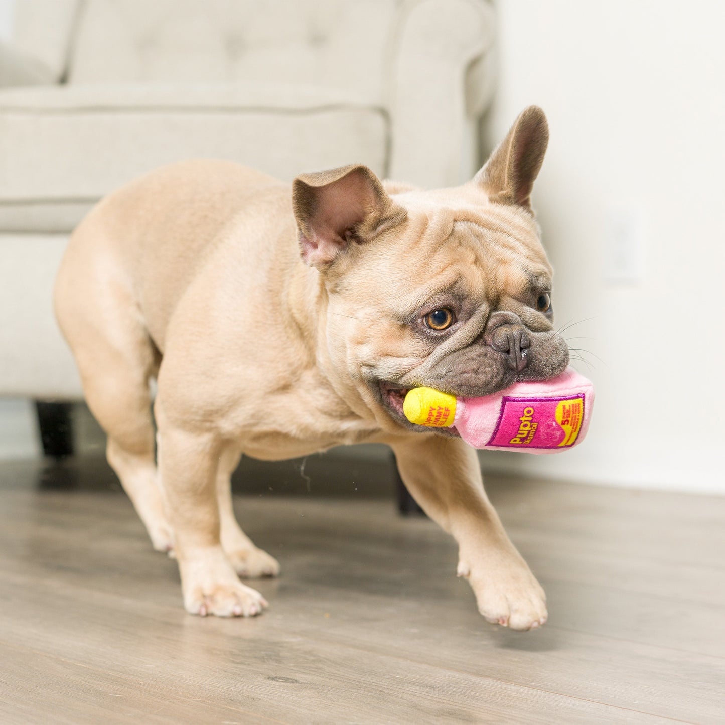 Tiny Tuff No Regrets Dog Toys