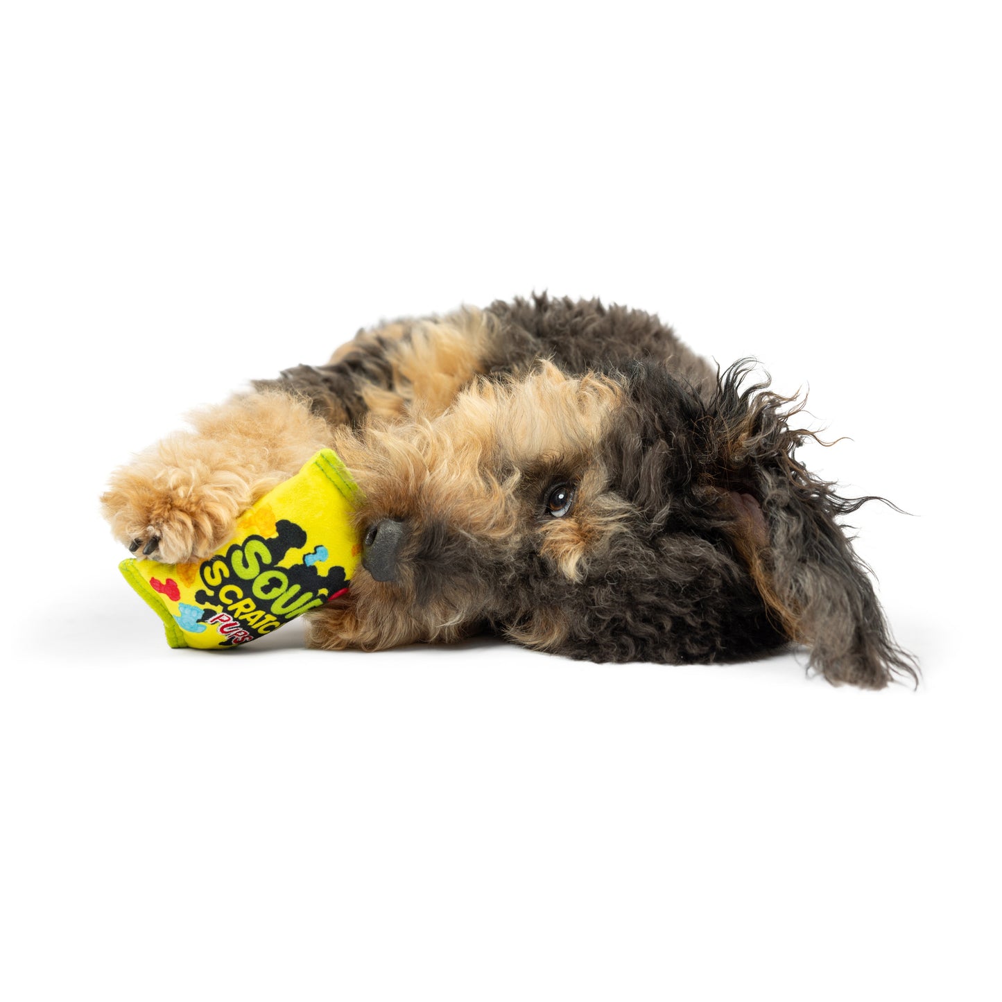 Tiny Tuff Sour Scratch Dog Toy
