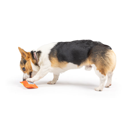 Tiny Tuff Treatos Snacks Dog Toy