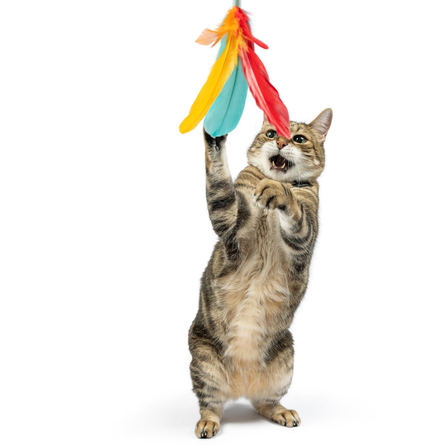 Teaser Treatos Snacks Wand Cat Toy
