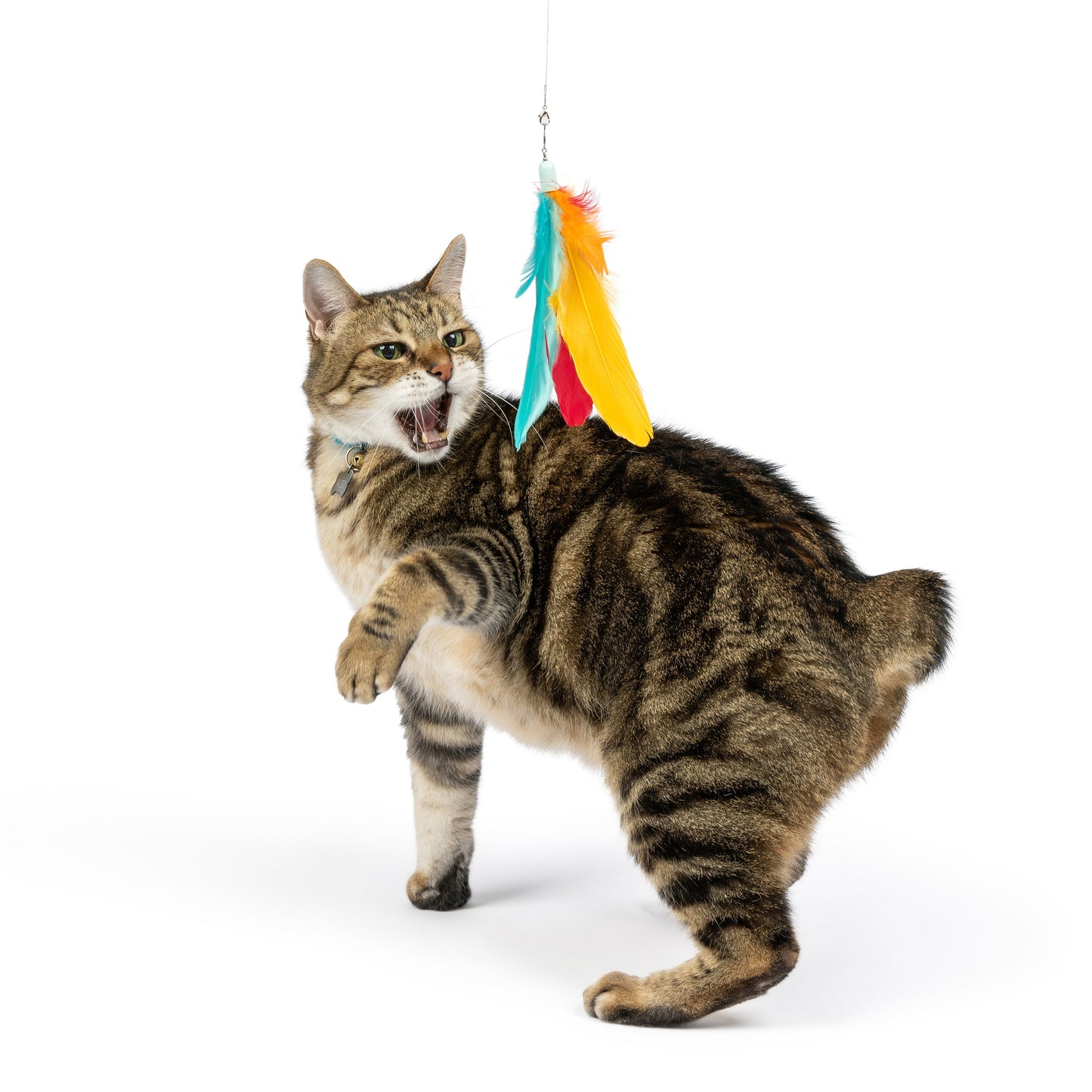 Teaser Treatos Snacks Wand Cat Toy