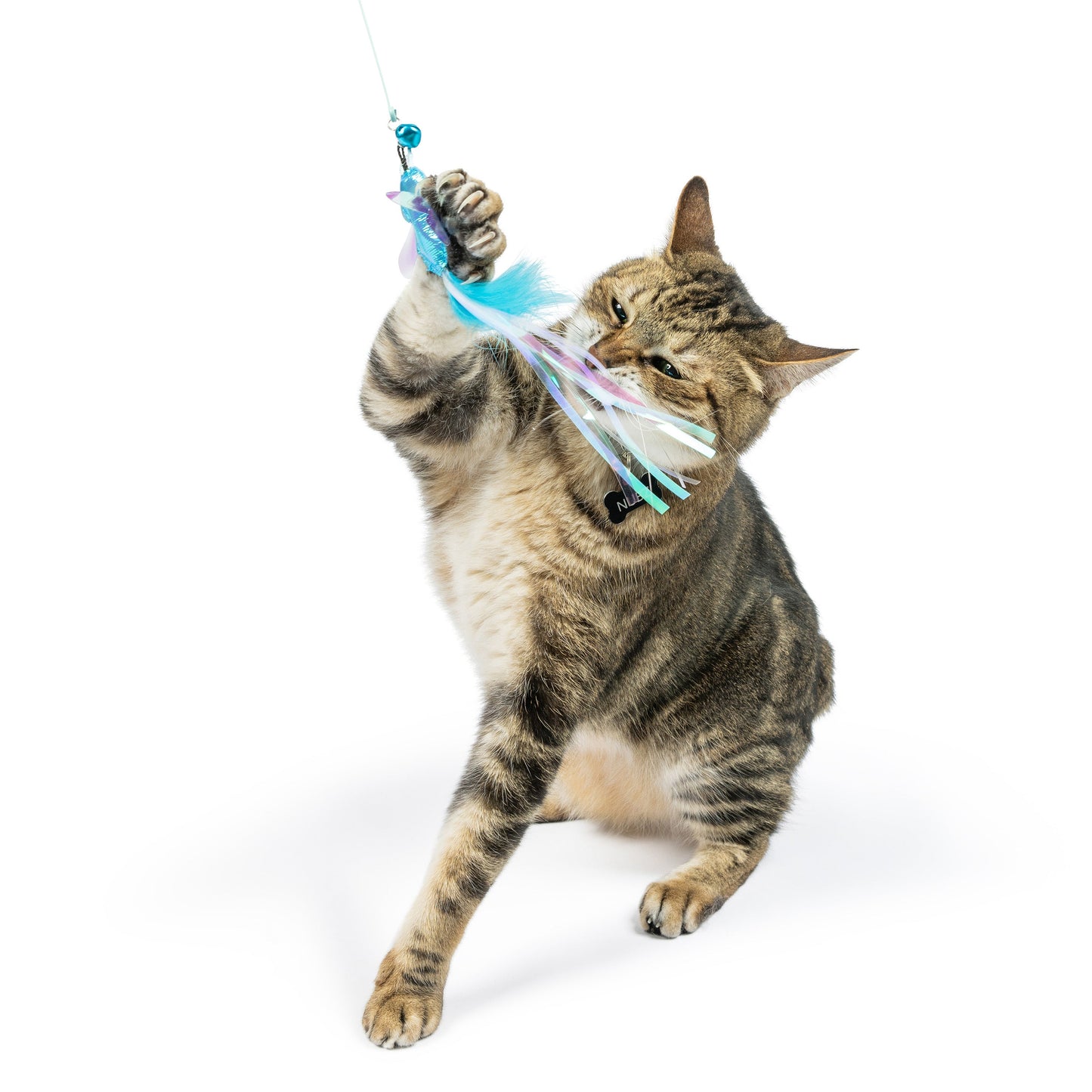 Wire Dragonfly & Mouse Wand Cat Toy