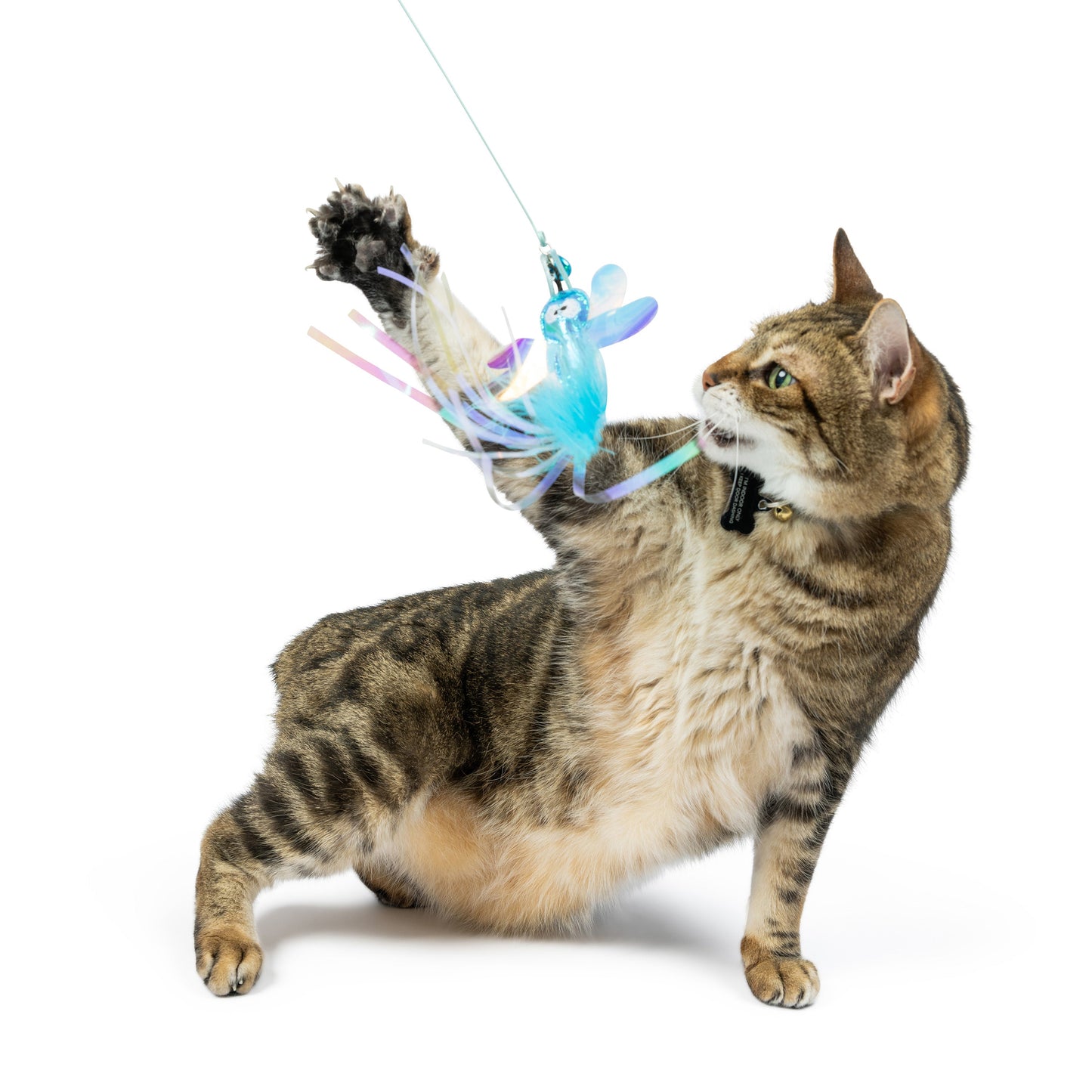 Wire Dragonfly & Mouse Wand Cat Toy
