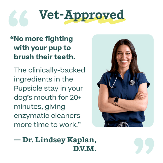 Woof Pet | Pupsicle Mix - Doggy Dental Mix 5.5oz