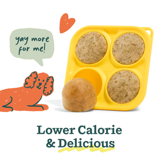 Woof Pet Pupsicle Mix - Bacon & Cheese 5.5oz