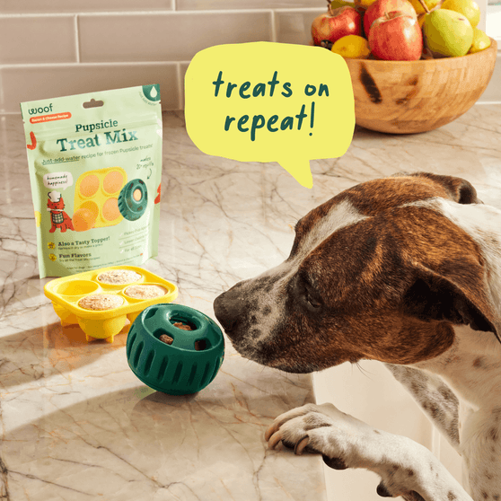 Woof Pet Pupsicle Mix - Calming 5.5oz