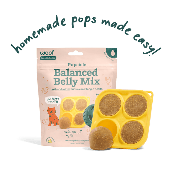 Woof Pet Pupsicle Mix - Balanced Belly 5.5oz