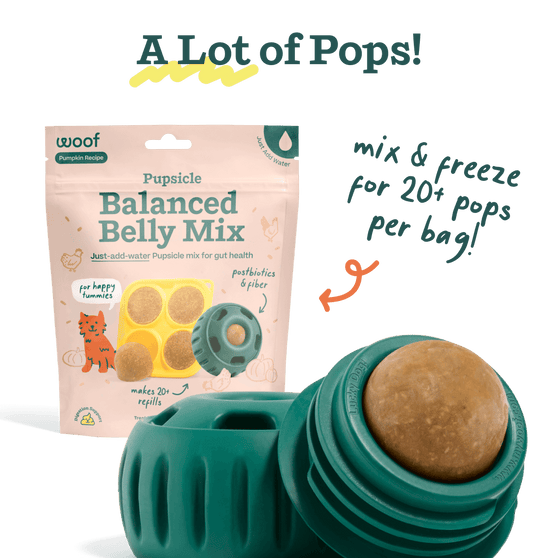 Woof Pet Pupsicle Mix - Balanced Belly 5.5oz
