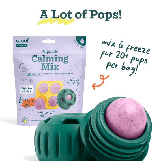 Woof Pet Pupsicle Mix - Calming 5.5oz