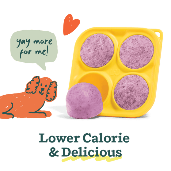 Woof Pet Pupsicle Mix - Calming 5.5oz