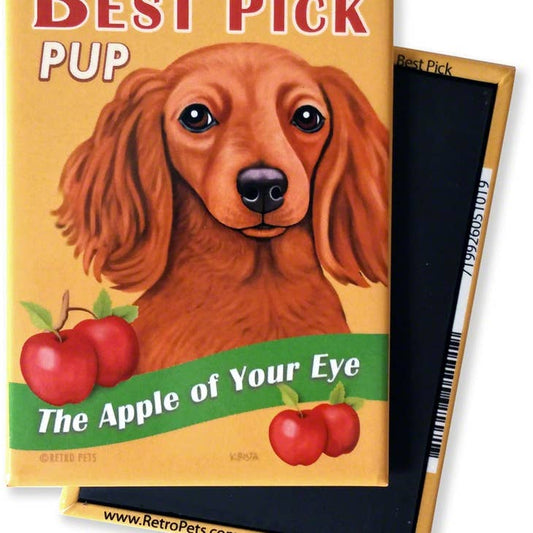 Dog Magnet - Dachshund "Best Pick Pup"