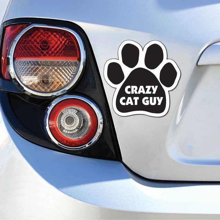 Car Magnet - Crazy Cat Guy