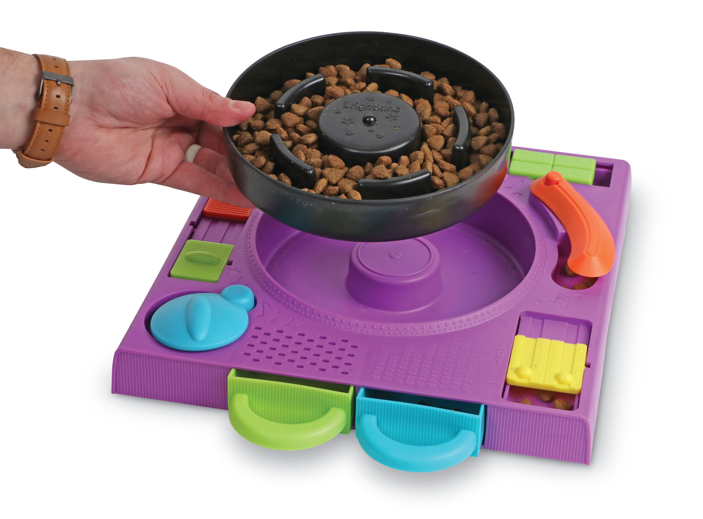 DJ Doggo Puzzle Feeder