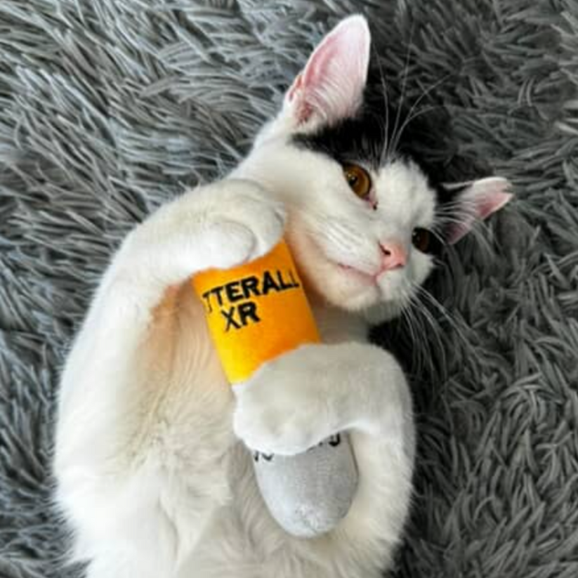 Catterall Catnip and Crinkle filled Catnip Kickers