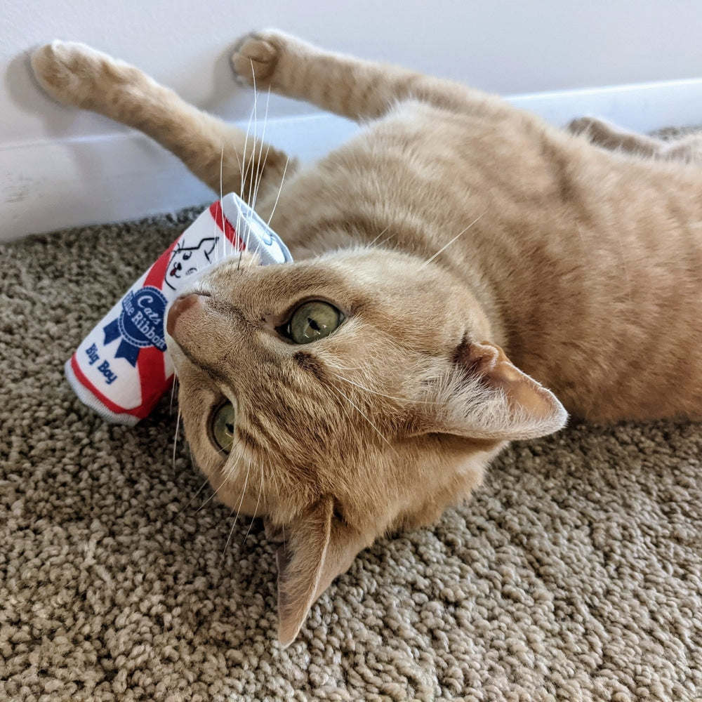 Cats Belly Rubbin Cat Toy