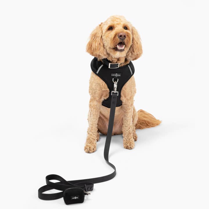 No-Pull Harness - Midnight