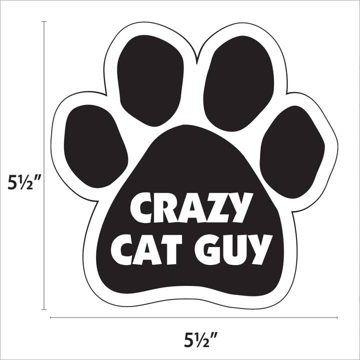 Car Magnet - Crazy Cat Guy
