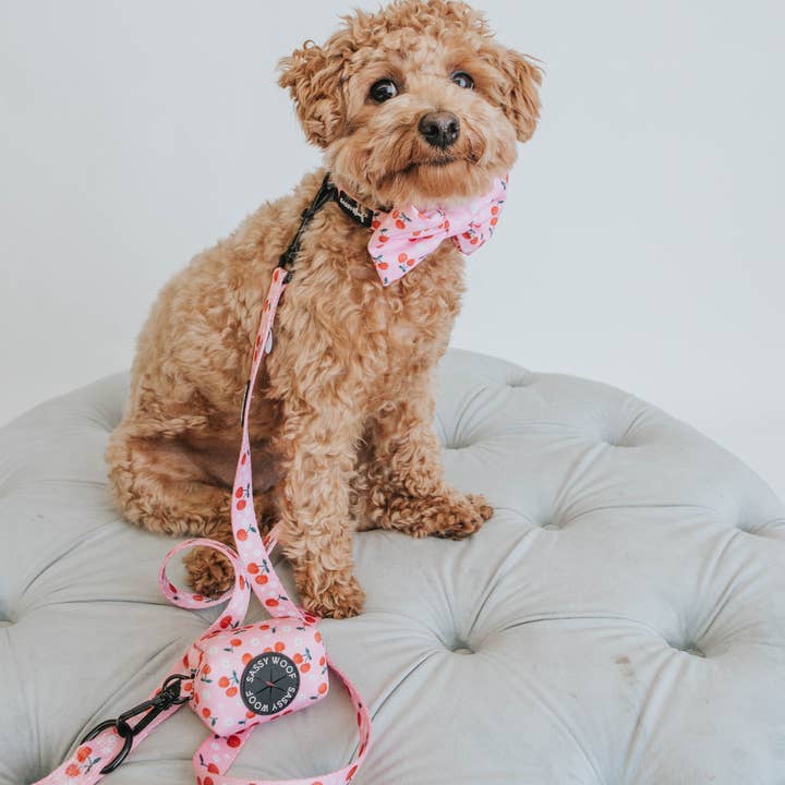 Dog Waste Bag Holder - Mon Cherry