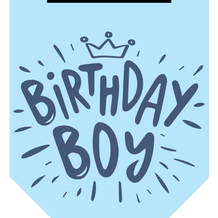 Birthday Boy Bandana *
