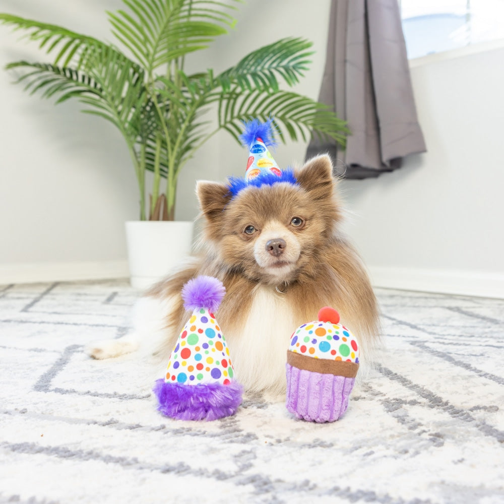 Tiny Tuff It's My Barkday 2pk Dog Toy
