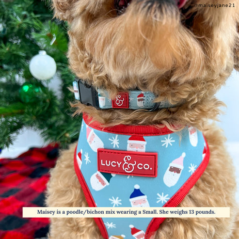 The Merry & Bright Collar