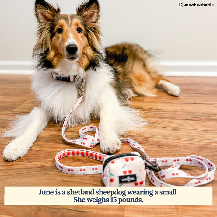 Cheery Cherries Poop Bag Holder