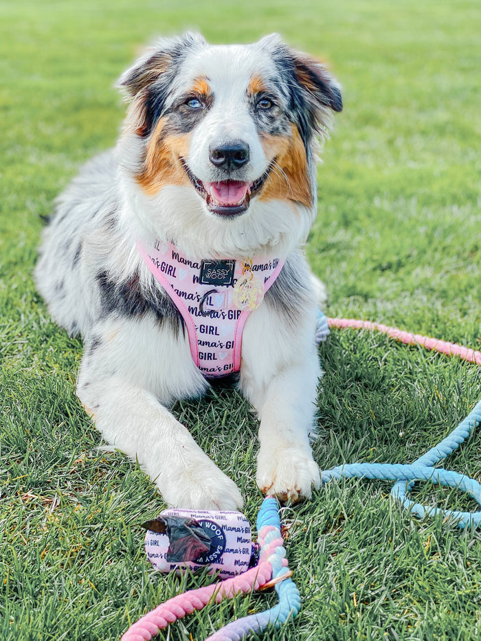 Dog Waste Bag Holder - Mama's Girl