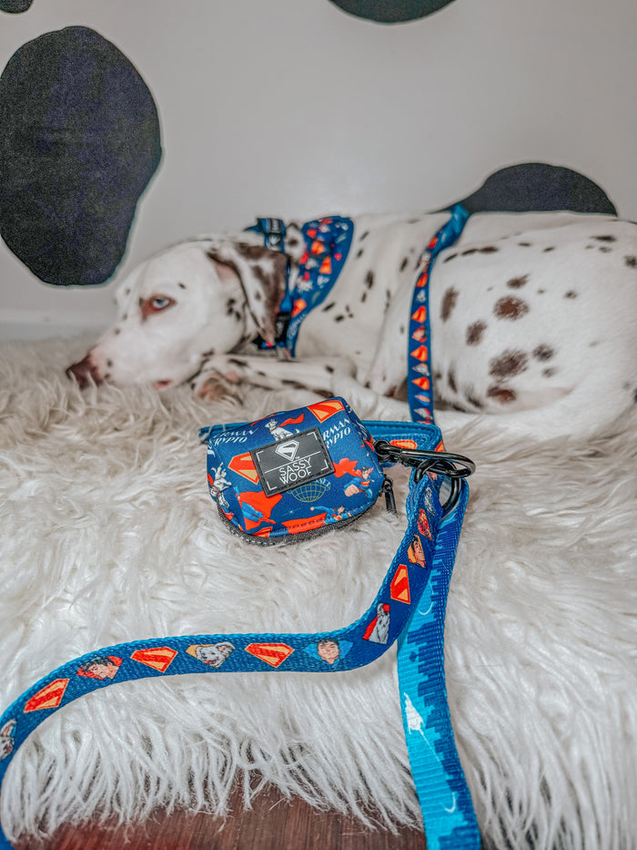 Dog Waste Bag Holder - Superman™ & Krypto™