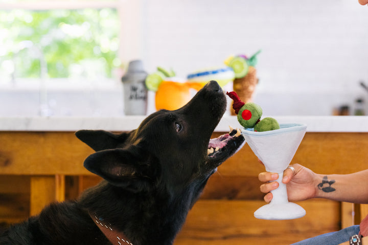 Barktender Pawtini Dog Toy