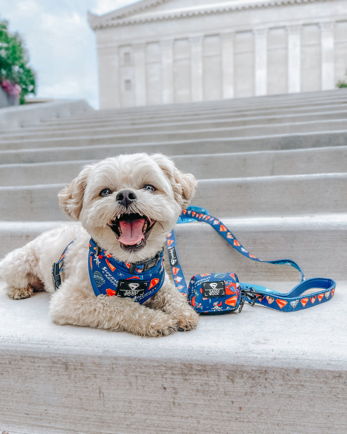 Dog Leash - Superman™ & Krypto™