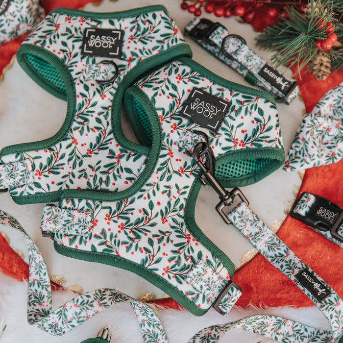 Dog Harness - Under the Mistletoe