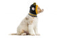 NFL Pittsburgh Steelers Knit Pet Hat