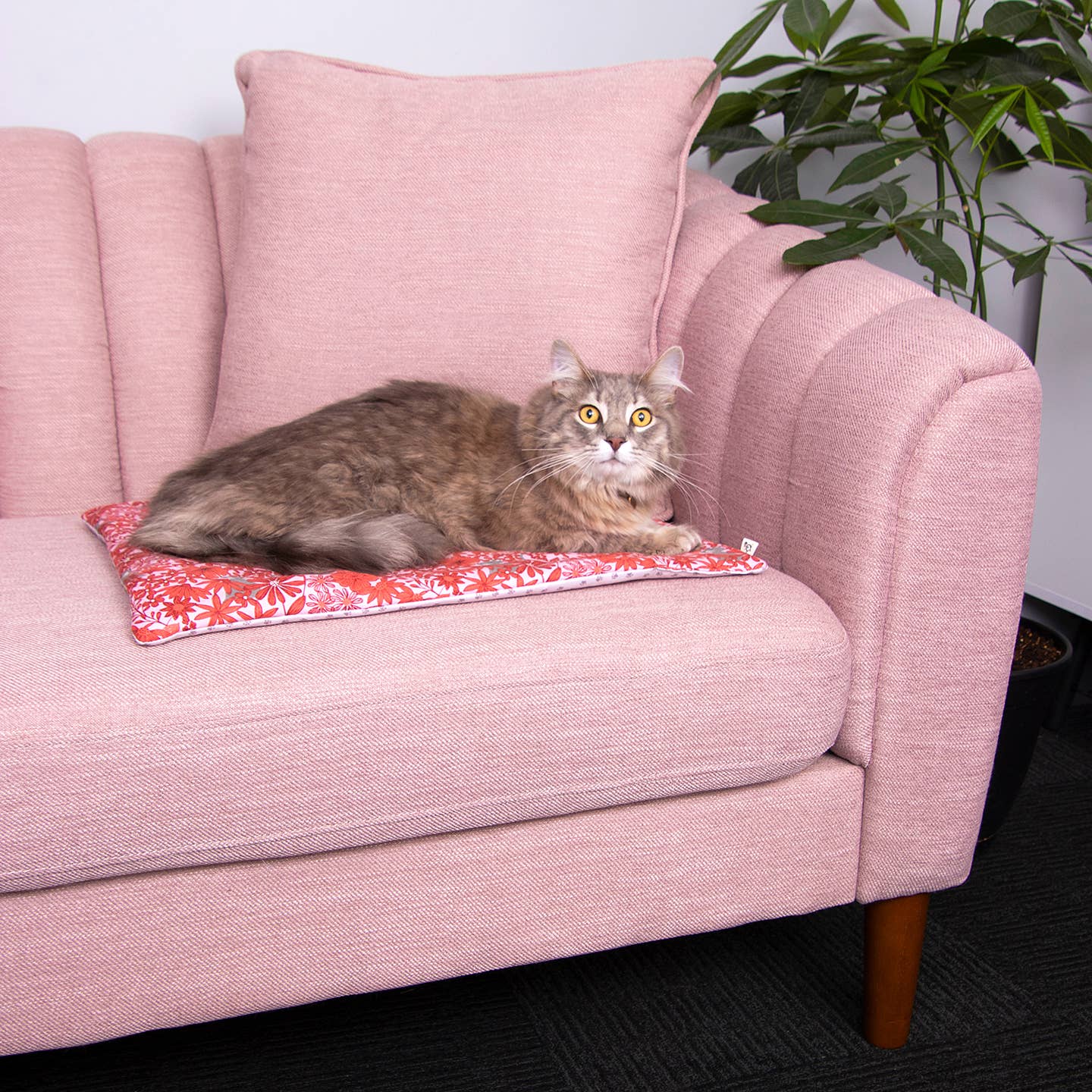 Catnip Yoga Mat