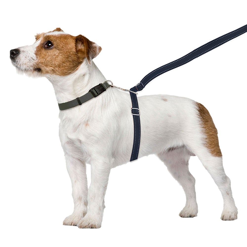 ThunderLeash