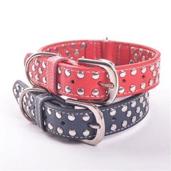 Studded Collar