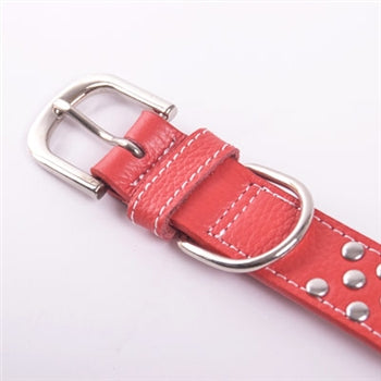Studded Collar