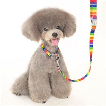 Contempo Rainbow Leash