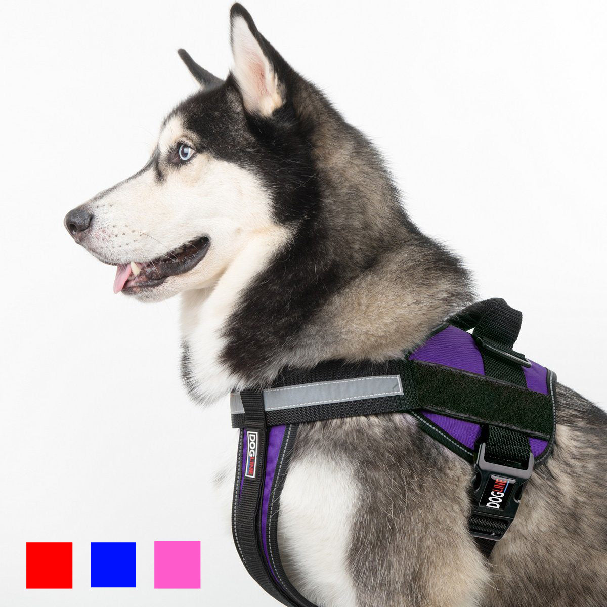 Dogline unimax hot sale harness