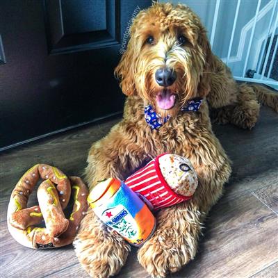 Pawgrrino Plush Toy