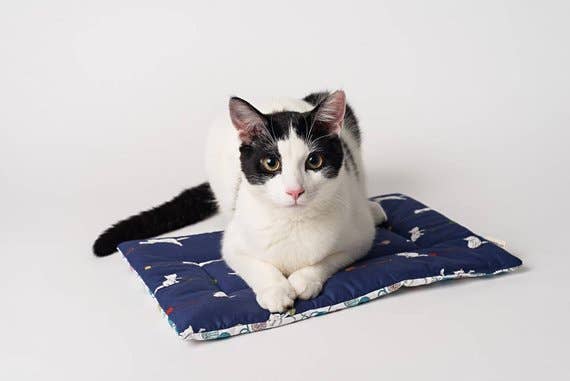 Catnip Yoga Mat